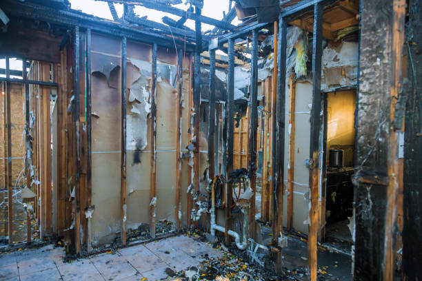 Professional Odor Removal technician working in Montrose, MN