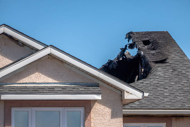 Top rated local Odor Removal specialists in Montrose, MN